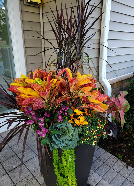 Bloompop Nationwide Artisan Flowers, Plants, and Holiday Decor